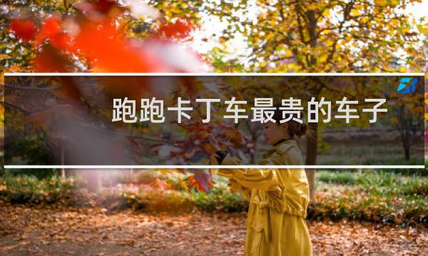 跑跑卡丁车最贵的车子