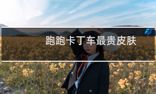 跑跑卡丁车最贵皮肤