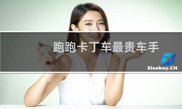 跑跑卡丁车最贵车手