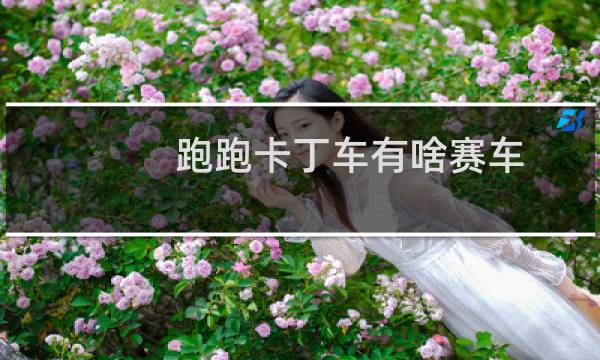 跑跑卡丁车有啥赛车