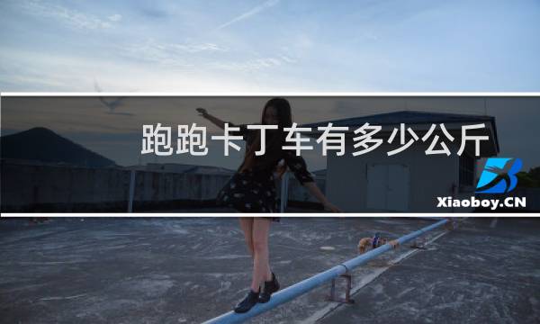 跑跑卡丁车有多少公斤
