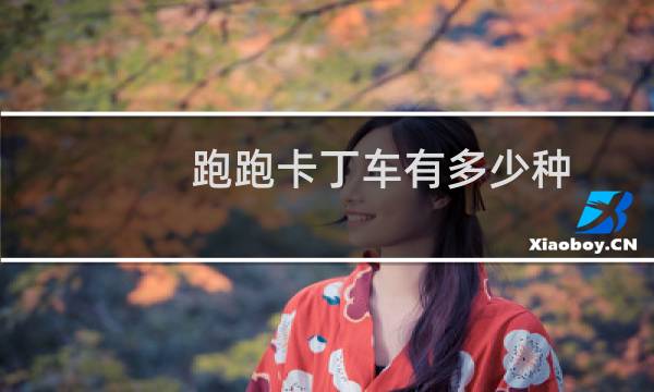 跑跑卡丁车有多少种