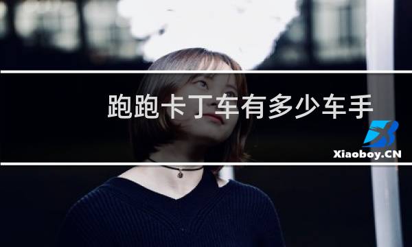 跑跑卡丁车有多少车手