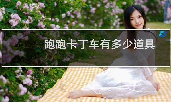 跑跑卡丁车有多少道具