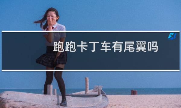 跑跑卡丁车有尾翼吗