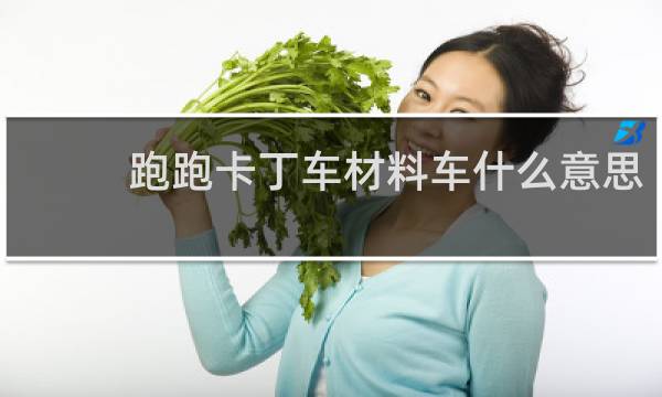 跑跑卡丁车材料车什么意思