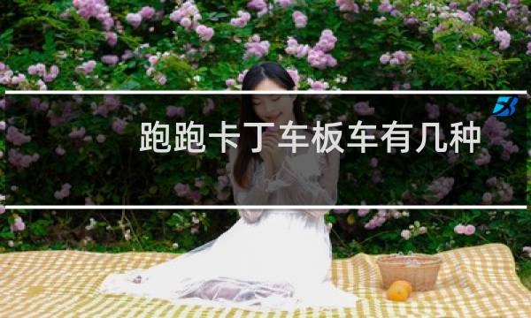 跑跑卡丁车板车有几种