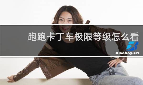 跑跑卡丁车极限等级怎么看