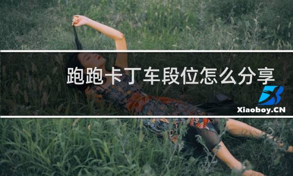 跑跑卡丁车段位怎么分享