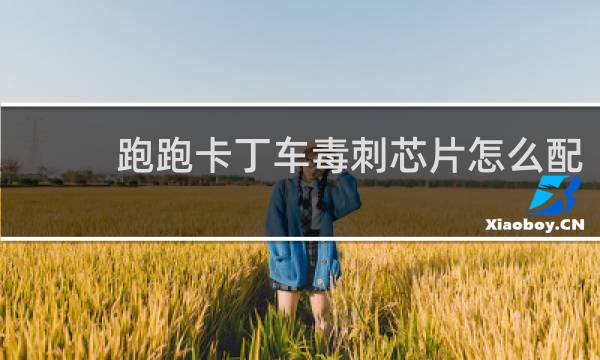 跑跑卡丁车毒刺芯片怎么配