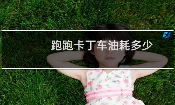 跑跑卡丁车油耗多少