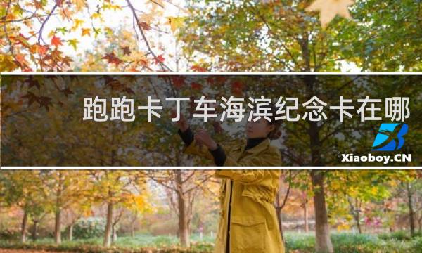 跑跑卡丁车海滨纪念卡在哪