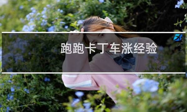 跑跑卡丁车涨经验