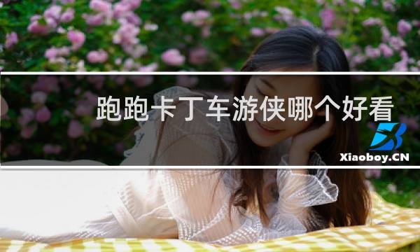 跑跑卡丁车游侠哪个好看