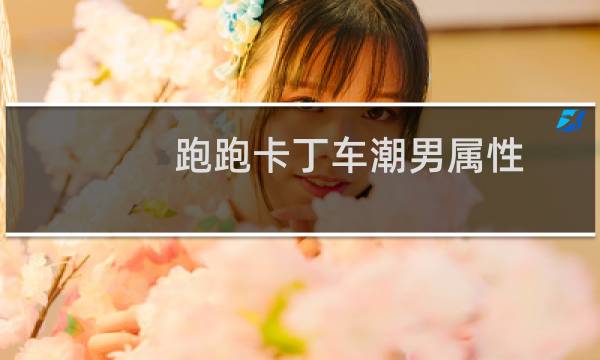 跑跑卡丁车潮男属性