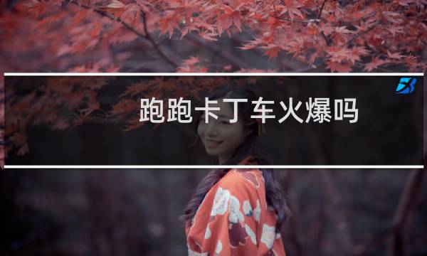 跑跑卡丁车火爆吗