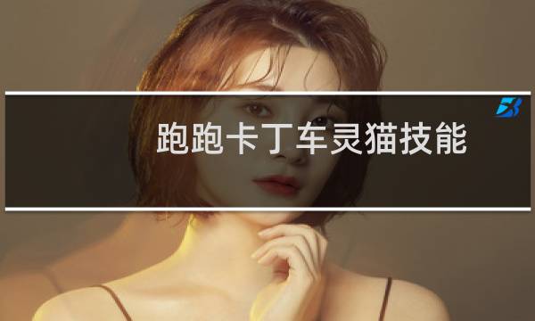 跑跑卡丁车灵猫技能