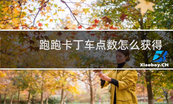 跑跑卡丁车点数怎么获得