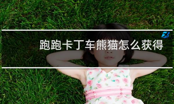 跑跑卡丁车熊猫怎么获得