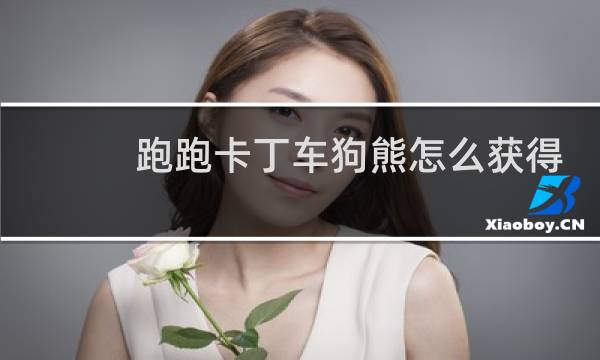 跑跑卡丁车狗熊怎么获得