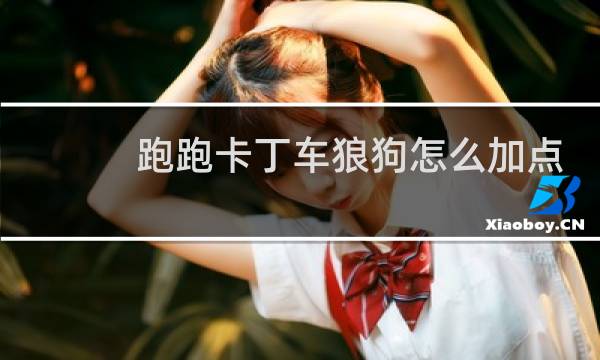 跑跑卡丁车狼狗怎么加点