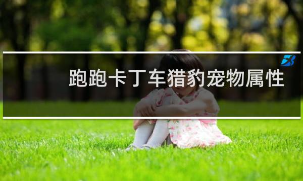 跑跑卡丁车猎豹宠物属性