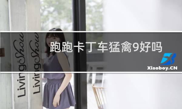 跑跑卡丁车猛禽9好吗