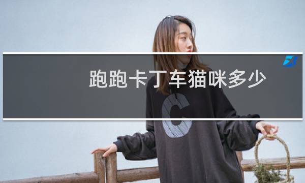 跑跑卡丁车猫咪多少