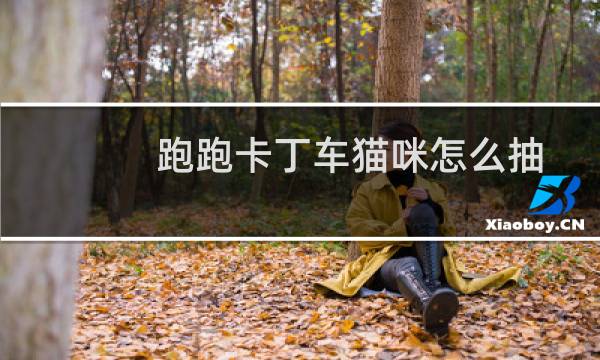 跑跑卡丁车猫咪怎么抽