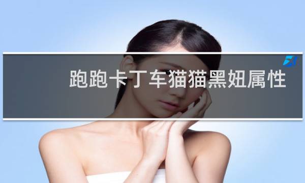 跑跑卡丁车猫猫黑妞属性