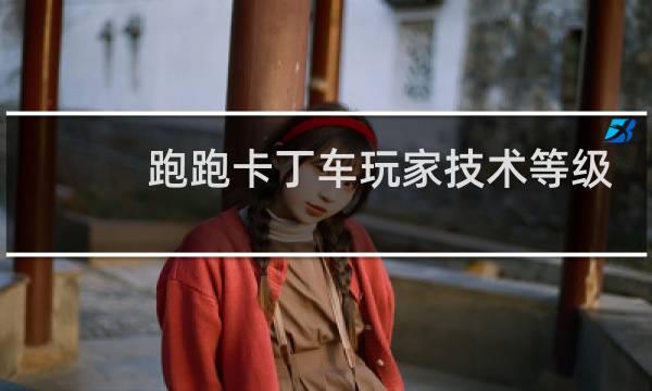 跑跑卡丁车玩家技术等级