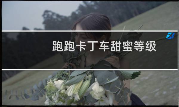 跑跑卡丁车甜蜜等级