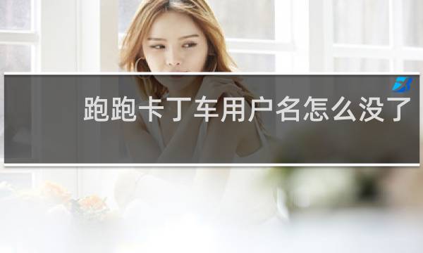 跑跑卡丁车用户名怎么没了