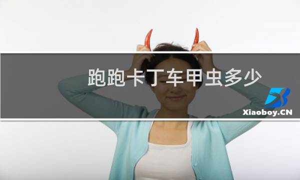 跑跑卡丁车甲虫多少