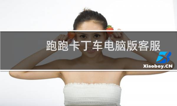 跑跑卡丁车电脑版客服