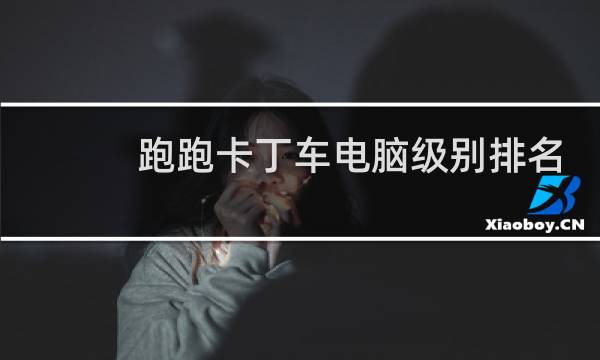 跑跑卡丁车电脑级别排名