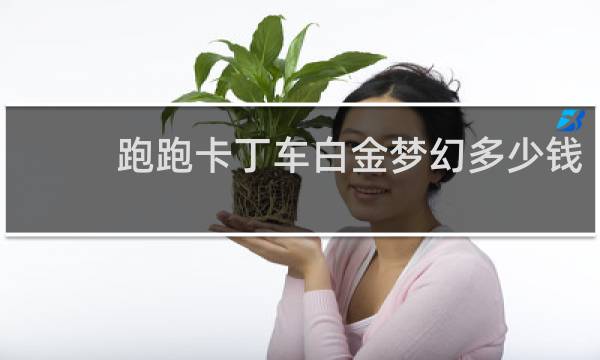 跑跑卡丁车白金梦幻多少钱