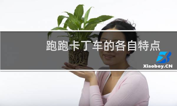 跑跑卡丁车的各自特点