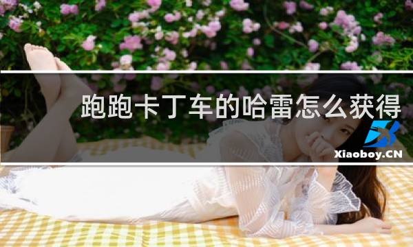 跑跑卡丁车的哈雷怎么获得