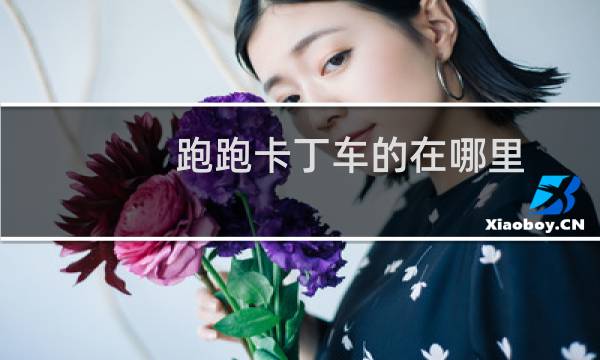 跑跑卡丁车的在哪里