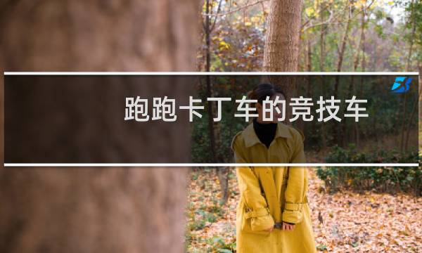 跑跑卡丁车的竞技车