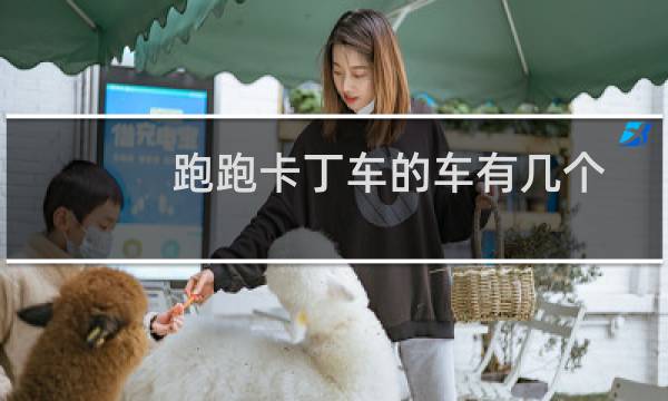 跑跑卡丁车的车有几个