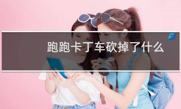 跑跑卡丁车砍掉了什么