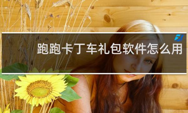 跑跑卡丁车礼包软件怎么用