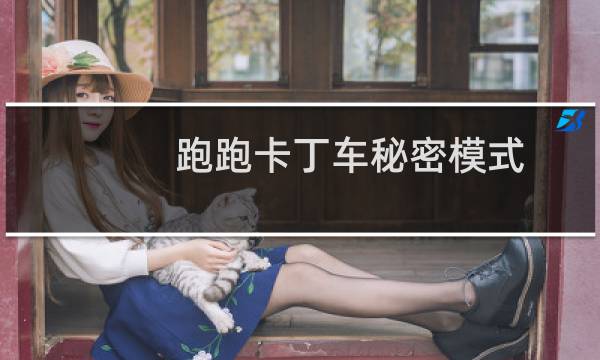跑跑卡丁车秘密模式