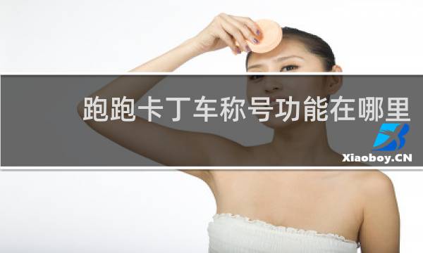 跑跑卡丁车称号功能在哪里