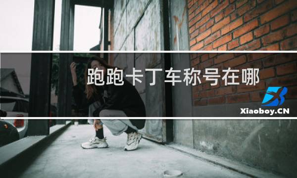 跑跑卡丁车称号在哪