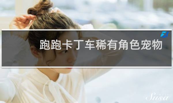 跑跑卡丁车稀有角色宠物