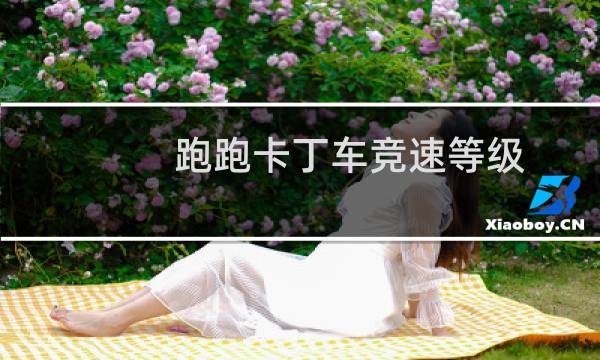 跑跑卡丁车竞速等级