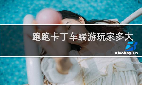 跑跑卡丁车端游玩家多大
